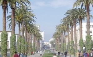 La peinture souirie à l’honneur à la galerie Fan Dok