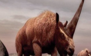 Un nouveau dinosaure découvert à Skoura