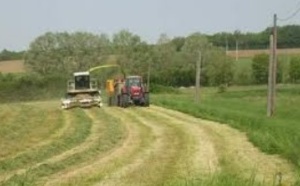 Le Fonds international de développement agricole s’engage dans la région d’El-Haouz