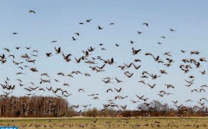 Lancement des travaux d’ aménagement du pôle d’échanges de la Vallée des oiseaux à Agadir