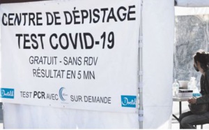 Le régulateur européen approuve deux traitements par anticorps