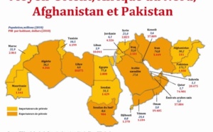 Perspectives de croissance assombries dans la région MENA