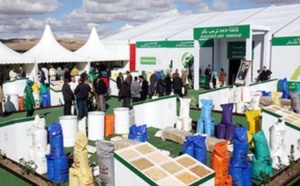 La Caravane OCP «Céréales et légumineuse» 2013 sillonne les régions du Maroc