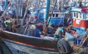 Hausse des débarquements de la pêche côtière et artisanale Hausse des débarquements de la pêche côtière et artisanale