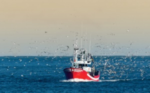 L'économie bleue, un vecteur de développement local durable