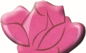 Réunion du Conseil national des femmes ittihadies