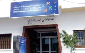 Le partenariat public-privé, pilier de la stratégie d'accompagnement des coopératives