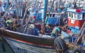 Hausse de 6% des débarquements de la pêche côtière et artisanale à fin novembre Hausse de 6% des débarquements de la pêche côtière et artisanale à fin novembre