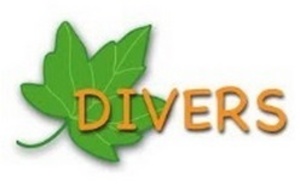 Divers