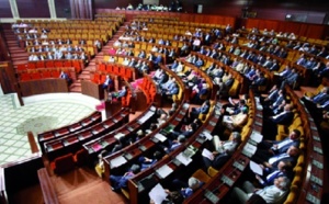 Le projet de loi organique des Finances en deçà des exigences de la Constitution Le projet de loi organique des Finances en deçà des exigences de la Constitution