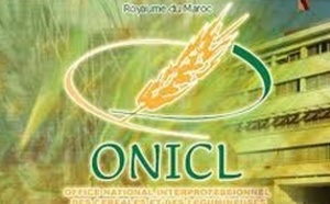 La collecte des céréales cumulée atteint 20,42 millions de quintaux La collecte des céréales cumulée atteint 20,42 millions de quintaux