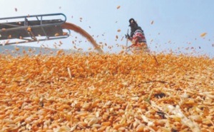 Flambée des prix et inflation: La paire qui fait peur