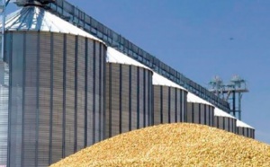 Fort recul des importations des céréales