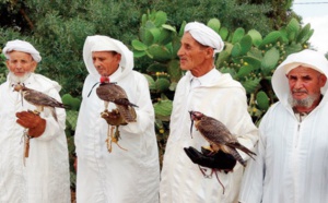 La fauconnerie: Un patrimoine culturel protégé par l’UNESCO
