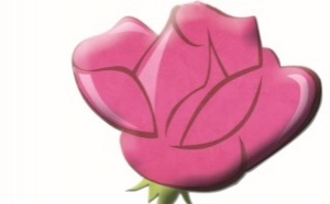 Retour en force de la diplomatie partisane Retour en force de la diplomatie partisane