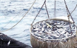 Conclusion de nouveaux protocoles de pêche