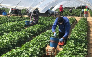 Début de dépôt des candidatures pour 70.000 travailleurs étrangers