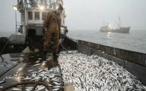 Les navires russes désormais autorisés à pêcher dans  les eaux nationales Les navires russes désormais autorisés à pêcher dans  les eaux nationales