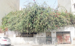 Le caïd de Benjdia occupe  une villa sans droit ni titre