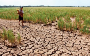 Dérèglement climatique et inégalité sociale: Quelle corrélation ?