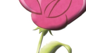 Activités partisanes Activités partisanes