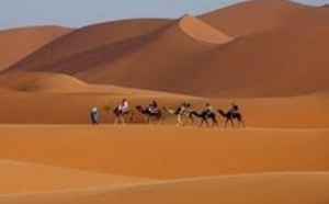 Les touristes allemands dans le viseur des professionnels marocains