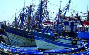 L’alternance entre les sardiniers du Sud continue à faire des vagues