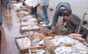 Meknès se dote d’un  marché de gros de poisson