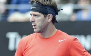 Del Potro, le géant aux poignets de cristal