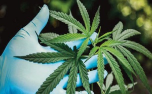 L'arsenal juridique complété par l'entrée en vigueur de six nouvelles décisions