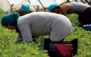 L’Espagne en manque de main-d’œuvre