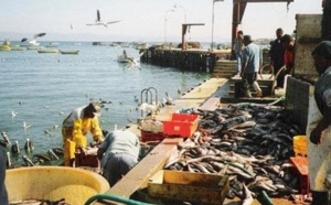 Baisse des débarquements de la pêche côtière et artisanale