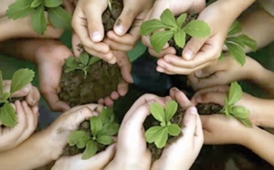 “Plantons 1000 arbres”, une  initiative de Casa Environnement