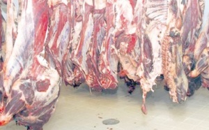 Importante saisie de viande avariée à Berrechid