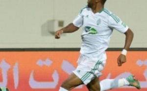 Le printemps est aux Verts :  l’ASFAR en sait des choses