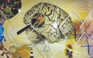 L'impact des neurosciences sur la société au centre d' une conférence à Rabat