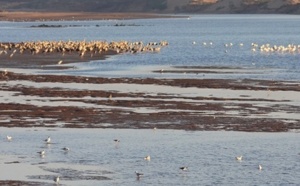 Echanges sur l’état des lieux de Oued Souss