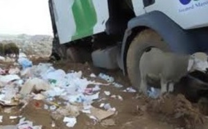 Rabat abrite un séminaire sur la gestion durable des déchets ménagers Rabat abrite un séminaire sur la gestion durable des déchets ménagers
