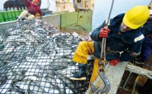 Bras de fer entre les professionnels de la pêche et Aziz Akhennouch