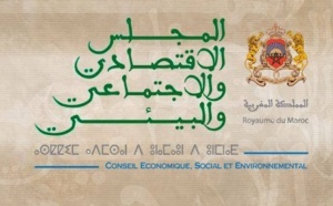 Le CESE recommande plus de vigilance en matière de gouvernance urbaine Le CESE recommande plus de vigilance en matière de gouvernance urbaine