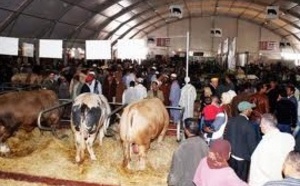 Le nombre de visiteurs du SIAM inférieur à l’objectif fixé Le nombre de visiteurs du SIAM inférieur à l’objectif fixé