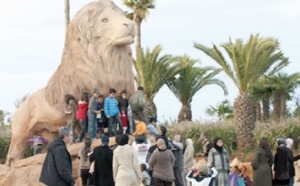 De nouvelles espèces s’invitent au jardin zoologique de Rabat