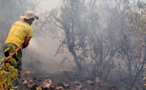 Poursuite des efforts pour lutter contre les incendies de forêt