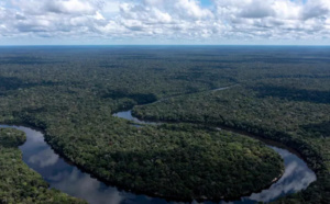 Hausse de la déforestation des écosystèmes au Brésil