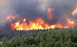 Les feux de forêt de "Jbal Ammar Teskart" et "Bouidar" complètement circonscrits