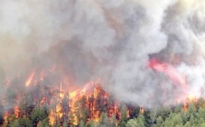 Les incendies de forêt en nette régression