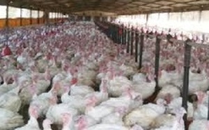 L’affaire Zalagh Holding fait des remous