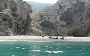 Le parc national d’Al Hoceima subit des pressions humaines