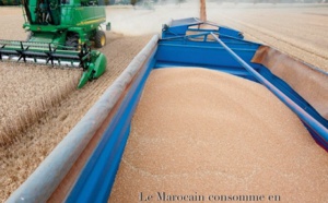 La guerre de blé n’aura pas lieu