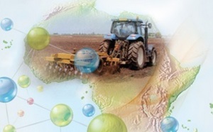 La richesse du patrimoine culturel  et artistique de l'Afrique célébrée à l'UNESCO